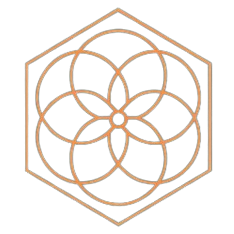 DataTribe Collective logo